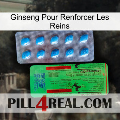Ginseng For Reinforcing Kidney new03